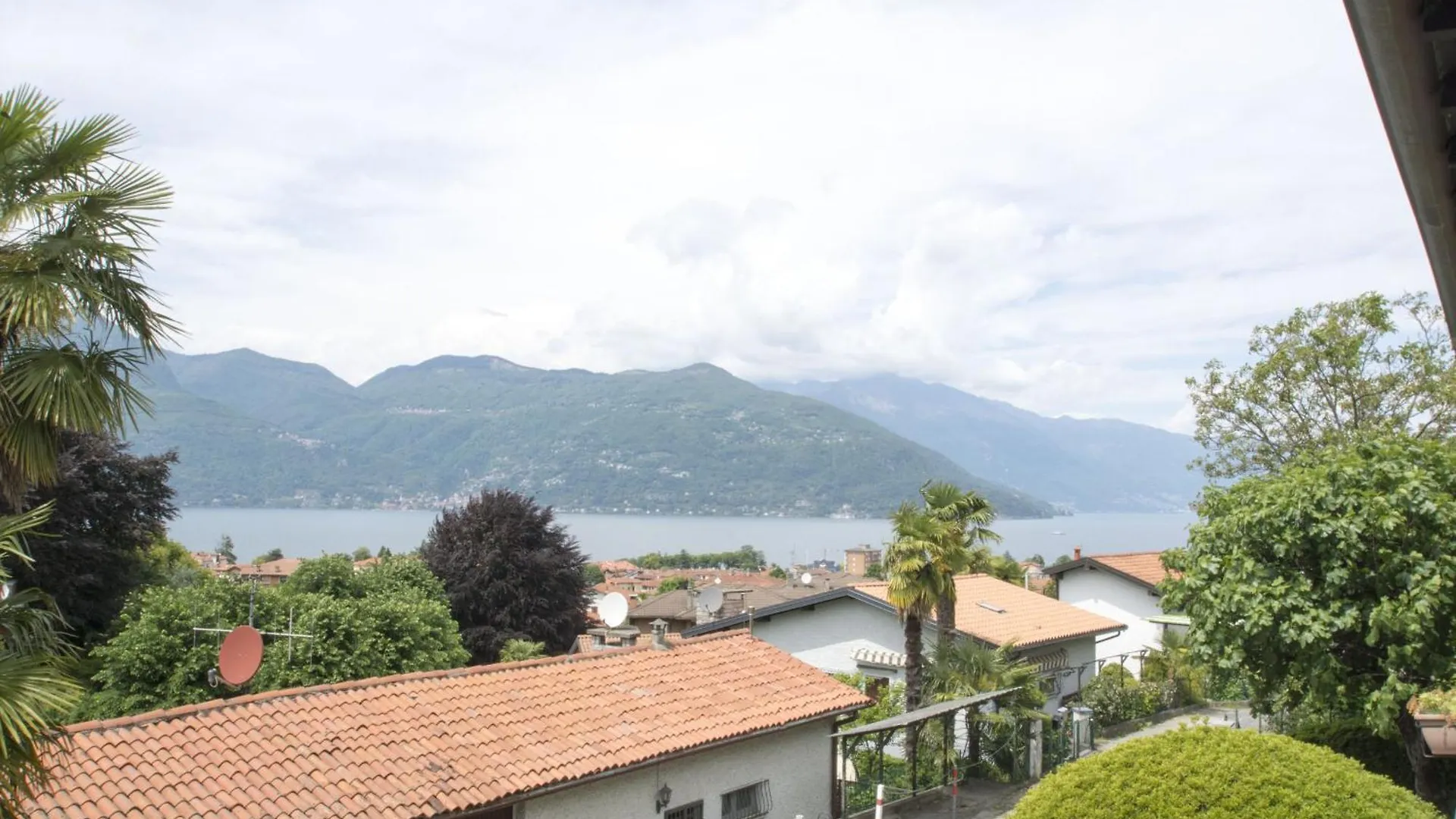 Buena Vista location